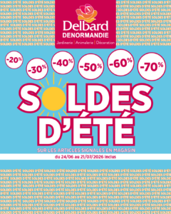Soldes d'été 2026 à La Châtre, Vierzon et Neuvy-Saint-Sépulchre