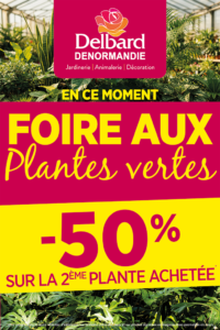Foire aux plantes vertes - promotion -50% sur la deuxième plante