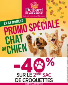 Promotion croquettes chien et chat : -40% sur le 2ᵉ sac à La Châtre et Vierzon