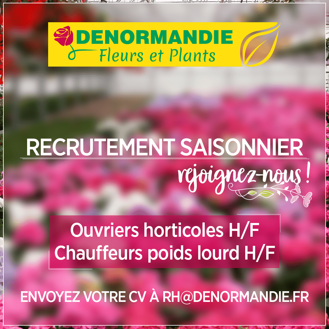 Lire la suite à propos de l’article Offres d’emploi DENORMANDIE Productions à Fougerolles
