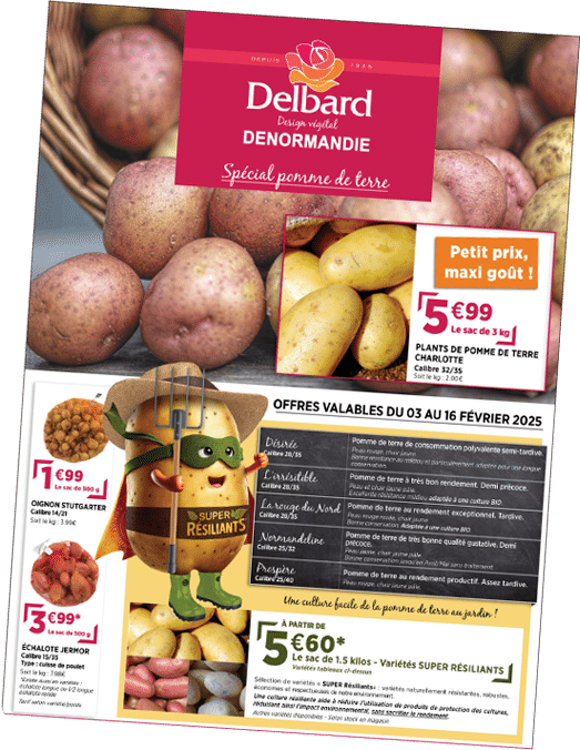 Lire la suite à propos de l’article Catalogue spécial pomme de terre 2025 chez Denormandie