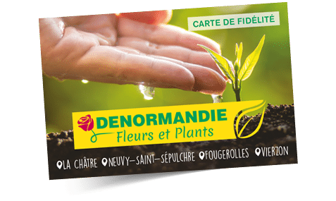 Carte de fidélité fleuriste DENORMANDIE Jardinerie Delbard