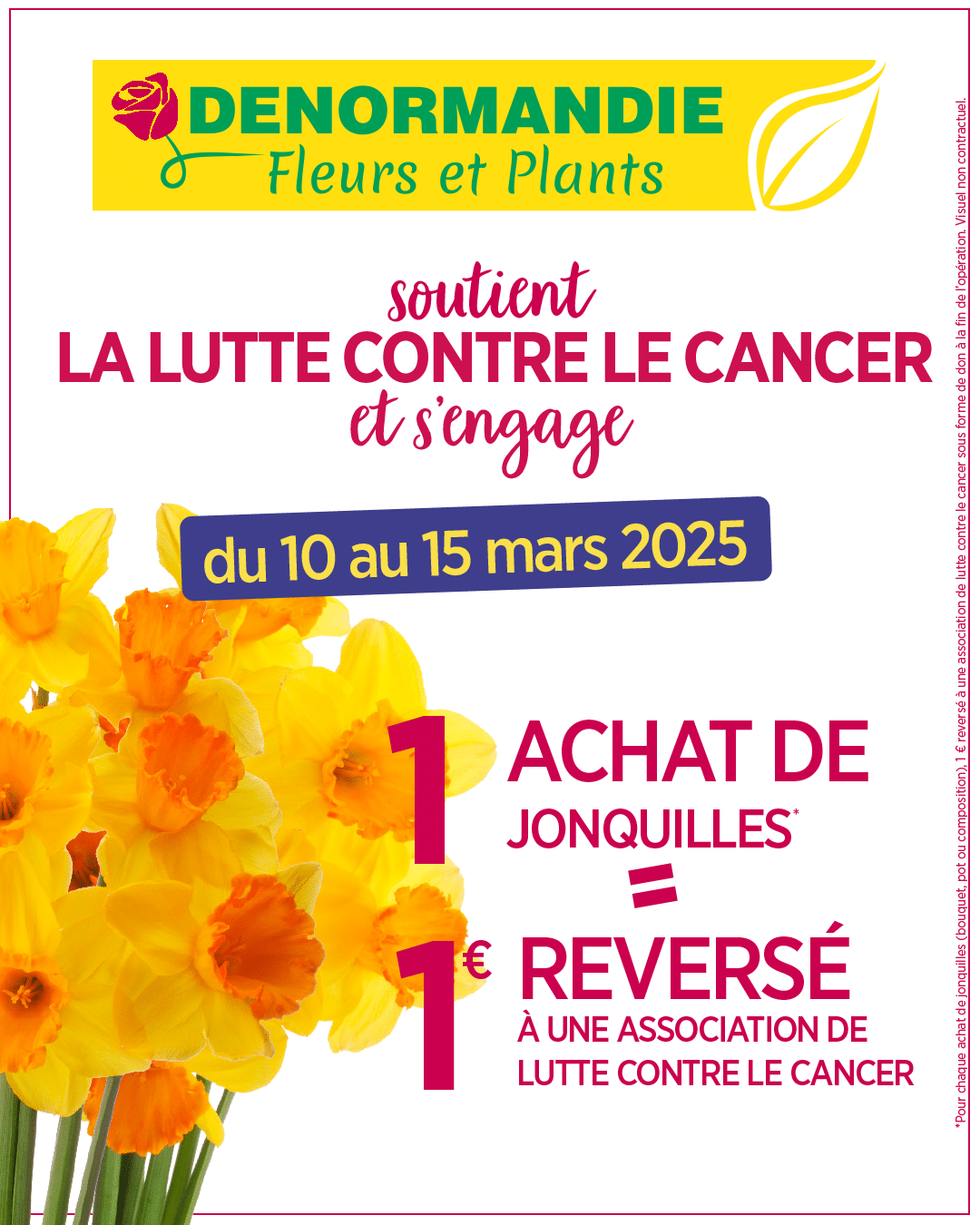 Lire la suite à propos de l’article Une jonquille contre le cancer à La Châtre et Vierzon