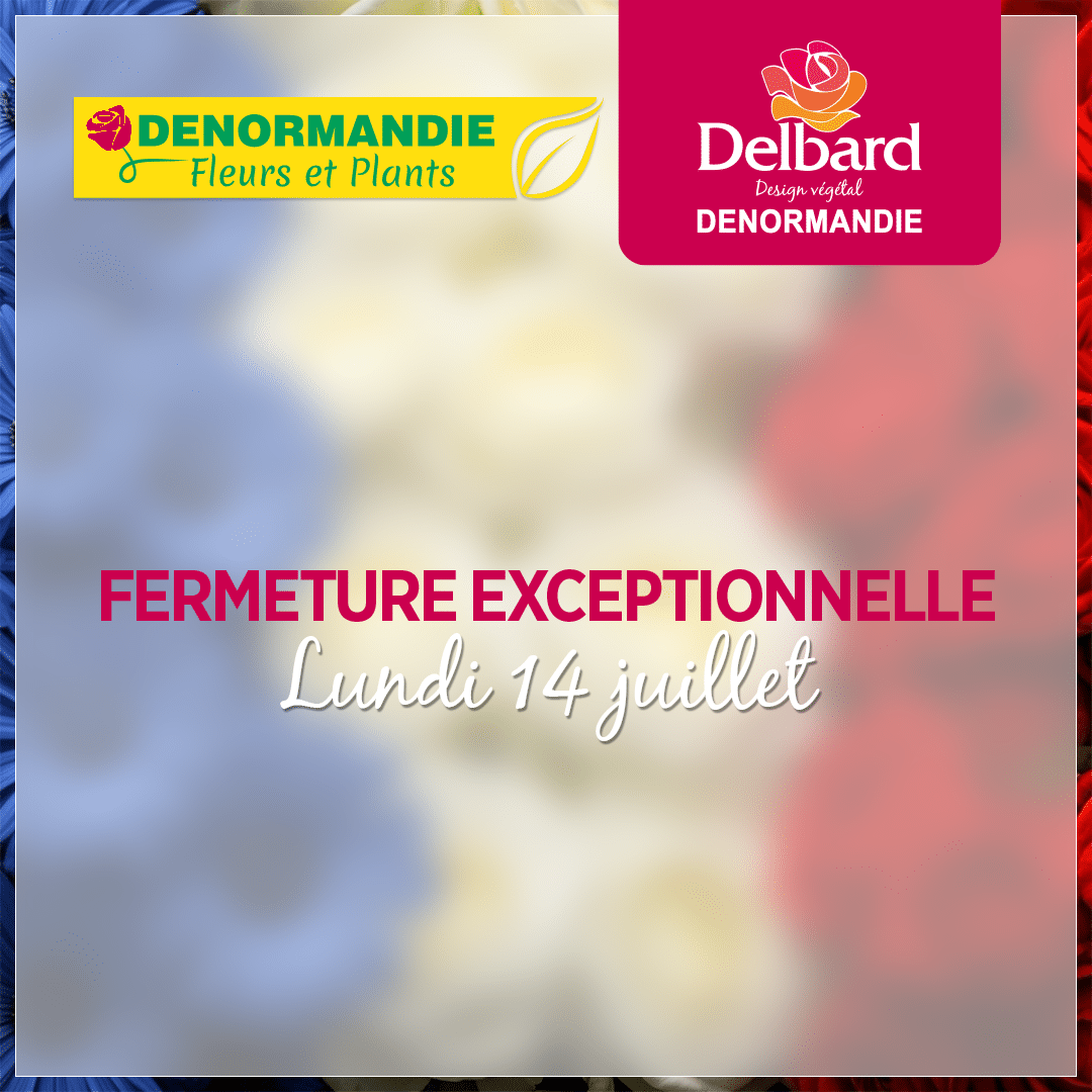 Lire la suite à propos de l’article Fermeture exceptionnelle 14 juillet 2025