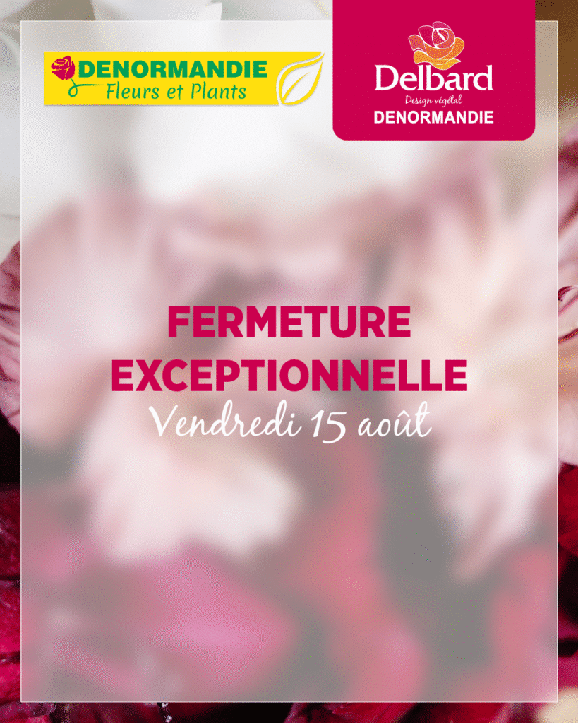 Fermeture exceptionnelle 15 août 2025