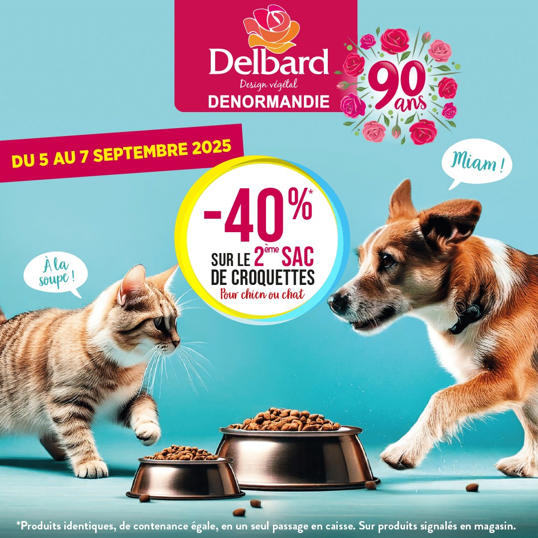 Lire la suite à propos de l’article Promotion croquettes pour chien et chat à La Châtre et Vierzon