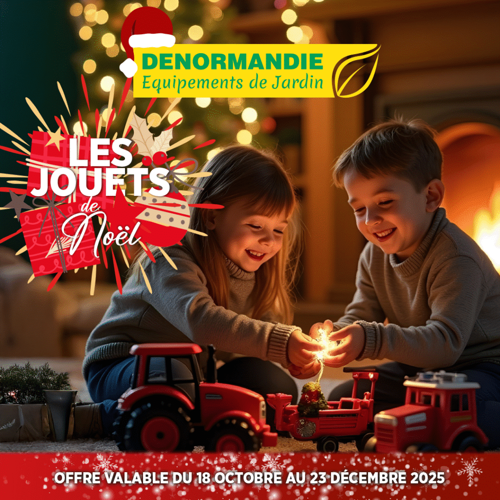Catalogue Jouets de Noël à La Châtre