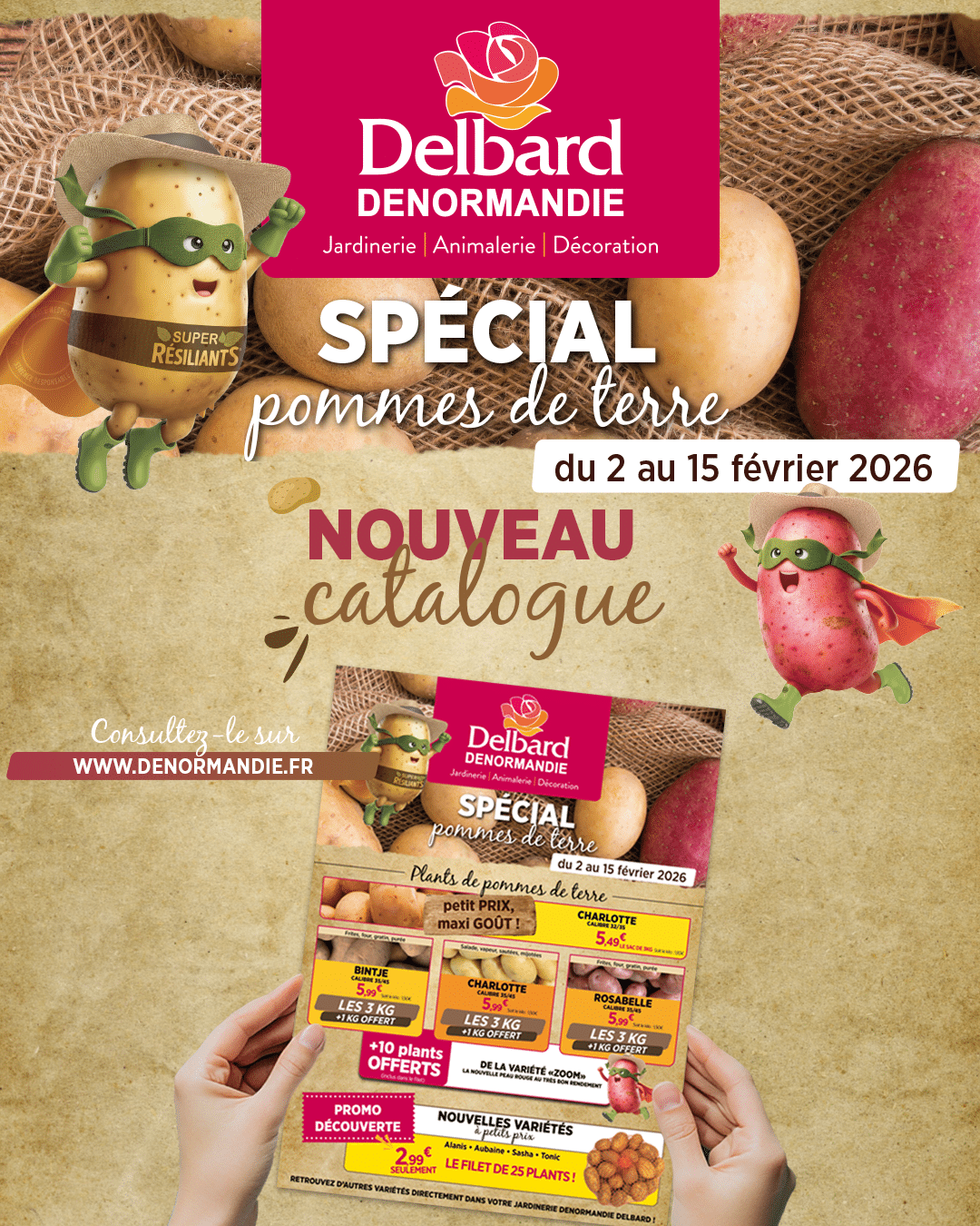 Lire la suite à propos de l’article Catalogue pommes de terre : promotions DENORMANDIE Delbard | Février 2026
