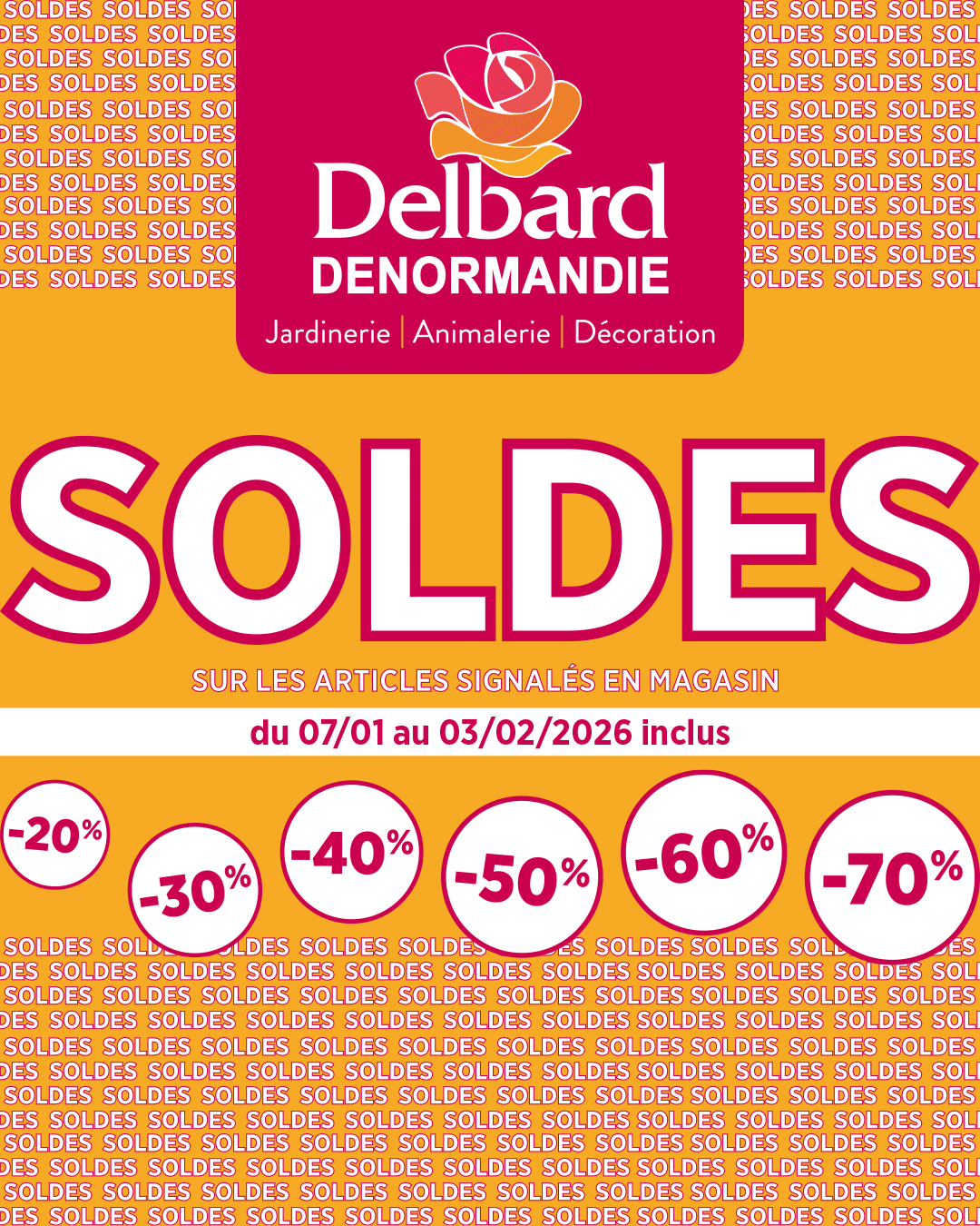 Lire la suite à propos de l’article Soldes à La Châtre et Vierzon : jusqu’à -70% chez DENORMANDIE Delbard